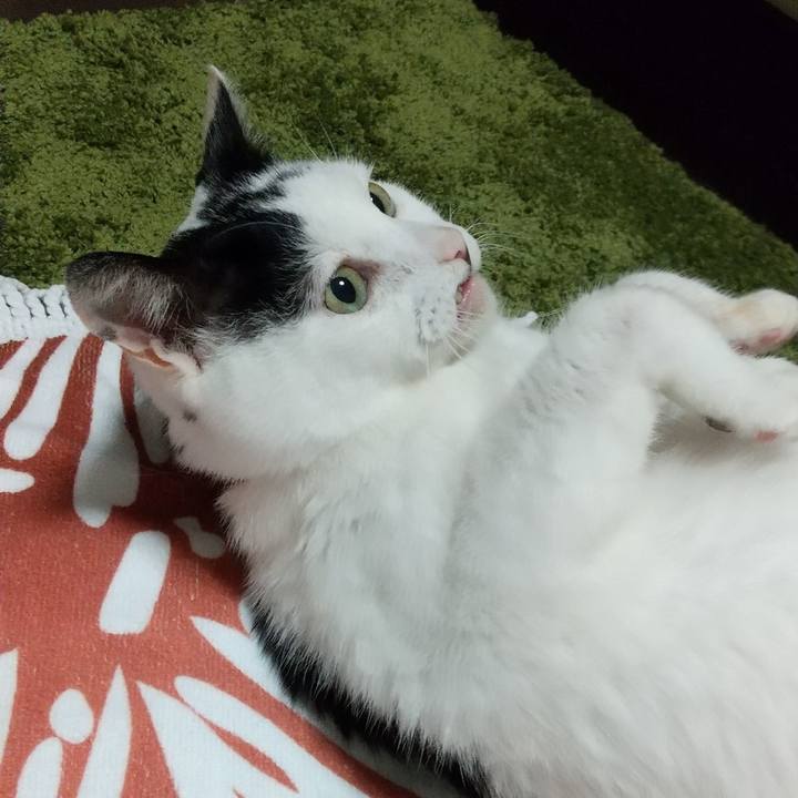 7c2efc28 ce37 4d52 90c9 ca6821b18c41 1621333622960