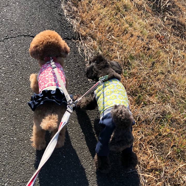 7c2f025c f4da 4b89 8274 e553ef85d689 1612872096707