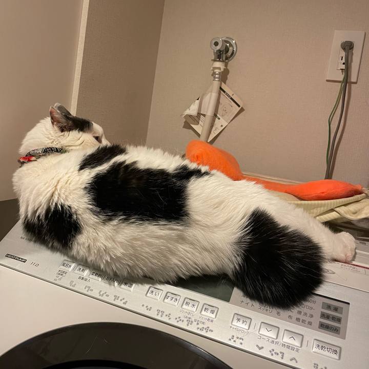 7c2f14a5 c9f3 45bd 80bb 34cbb083b603 1718062305672