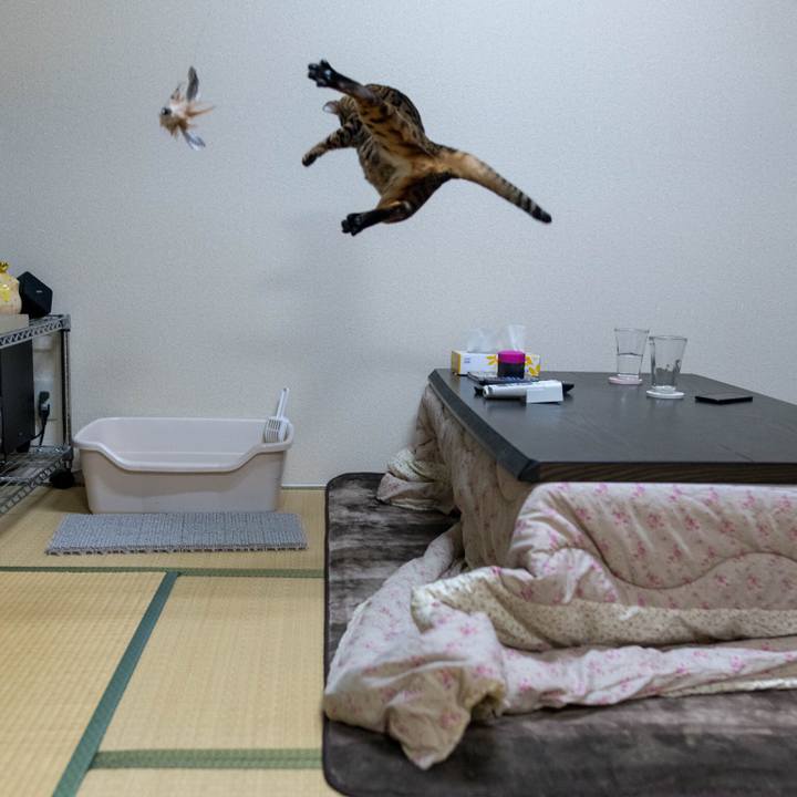 7c2f7ec6 fe84 4bd5 b669 8592c316503a 1517803151744