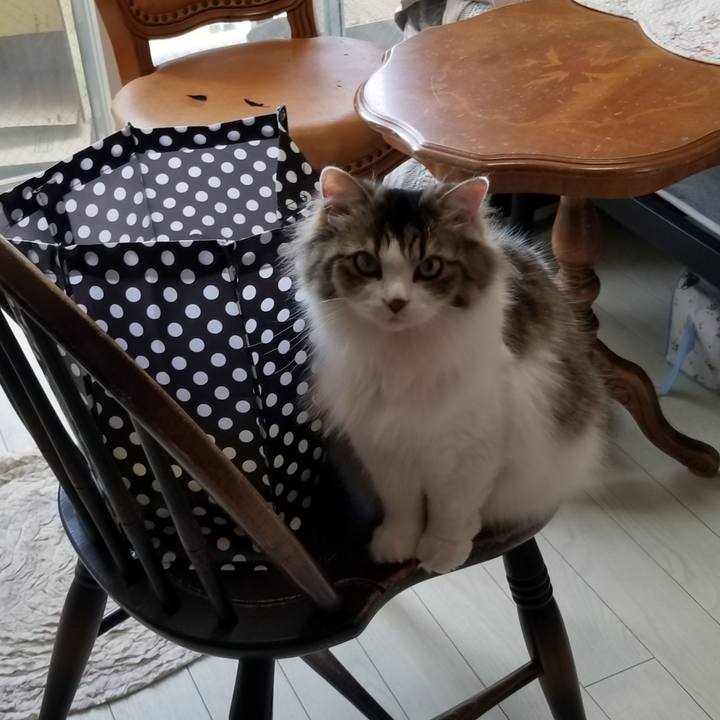 7c2f9d6e 5ef4 45e4 8cc0 68272ee53333 1532351157935