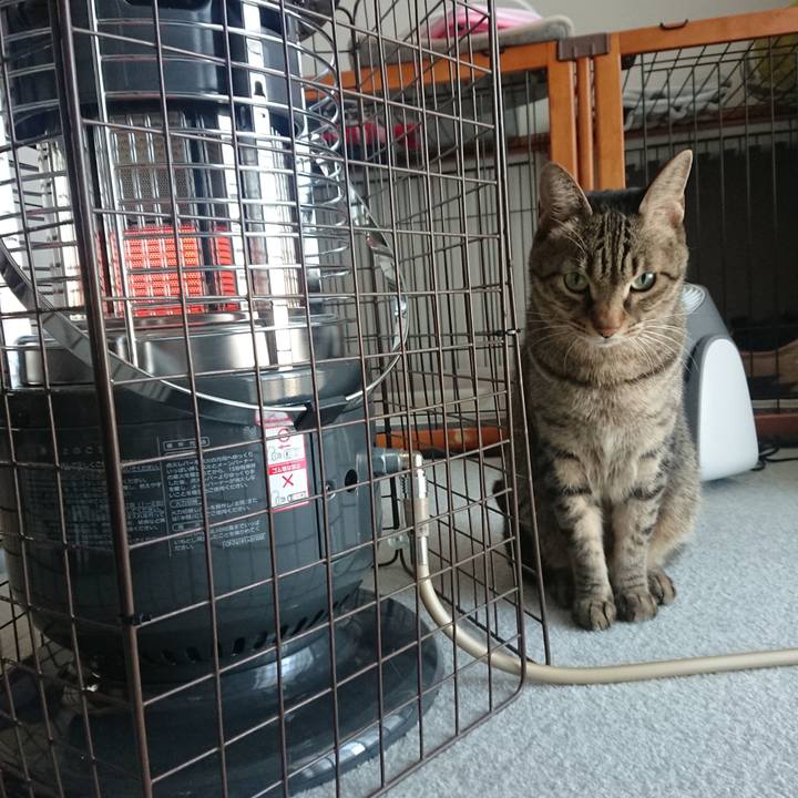 7c2fb6e2 4199 4104 a600 43542bf4e292 1573945611107