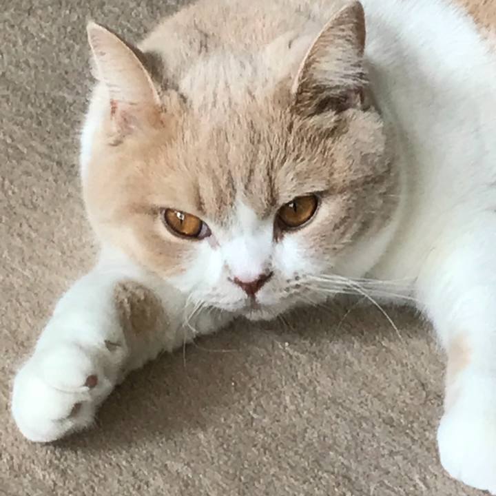 7c2fe29e ebf0 4ee1 a4d2 896f007db6be 1509496501045