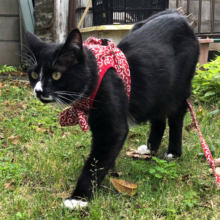 7c302b28 5787 43ca ae67 ce4b2081e30d 1623209376360