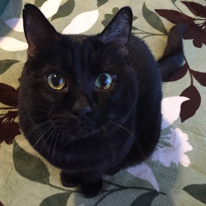 7c3030e2 f0bb 4a7b af11 7fafc9d05f07 1583618322568