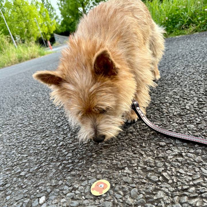 7c30513a 4ce1 40c5 ab15 f439a90cd492 1717990883146