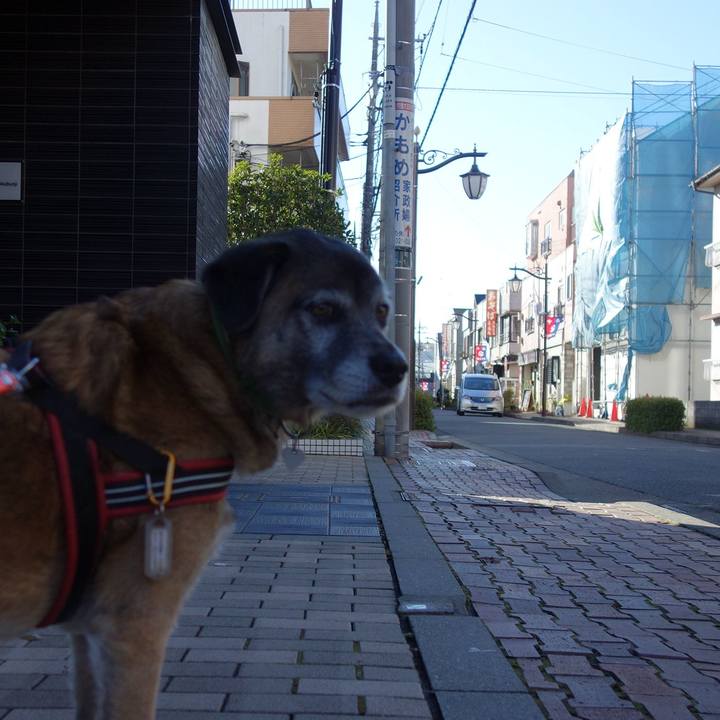 7c307bb8 7cb4 4ffe 94bf f401b664bcc5 1512177248468