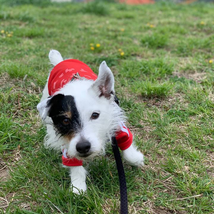 7c30b1b7 3cc0 4cbc a5bd dbf19758864c 1712882389237