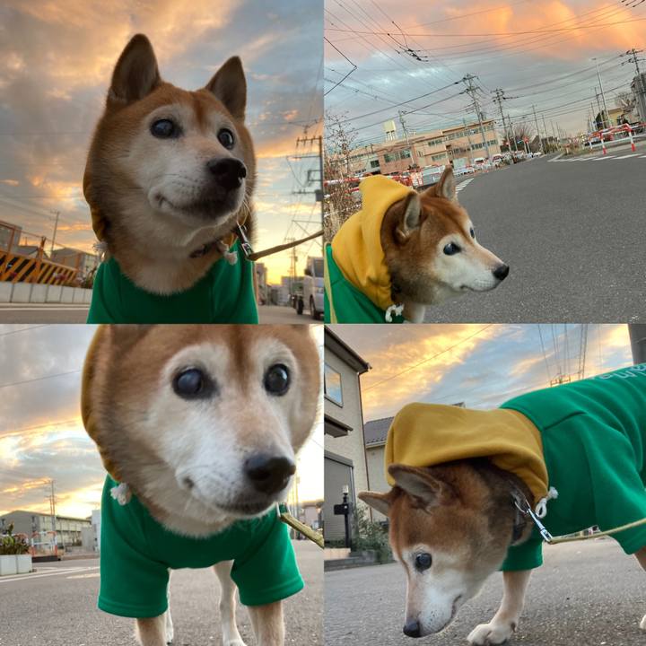 7c30f577 1936 4d72 976d 33555d811e84 1704184883351