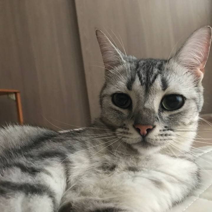 7c31392c 6182 47bf b426 739ed7cd718f 1532471258218