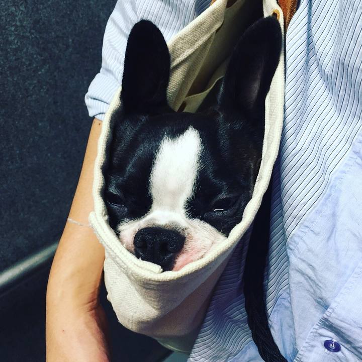 7c31442e 3fe6 4de7 a12c a708fdf18b22 1539172307625