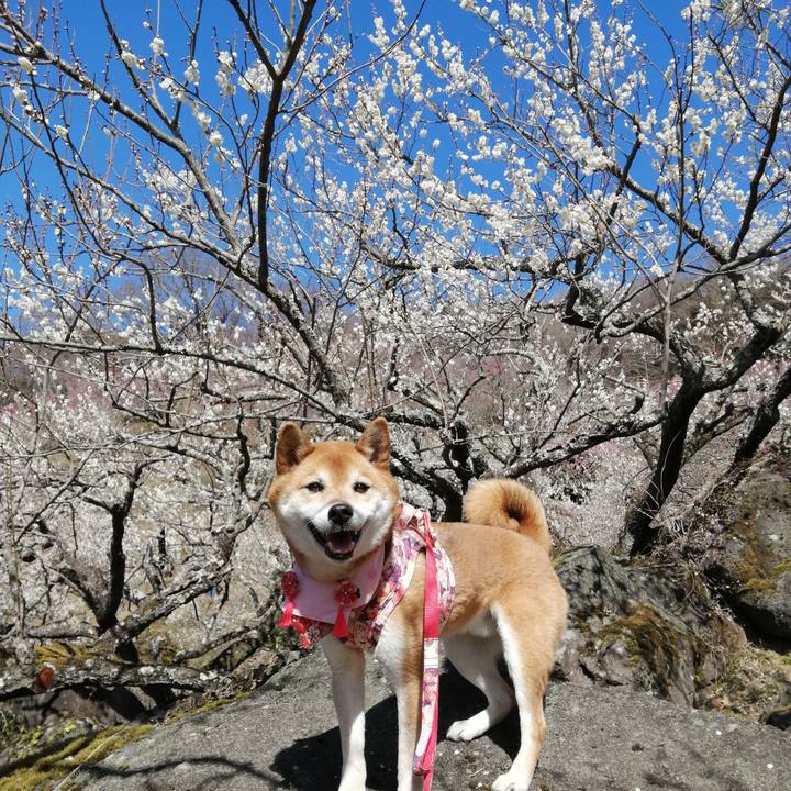 7c317023 abf3 44f5 8973 2af4b80c3673 1677847556721