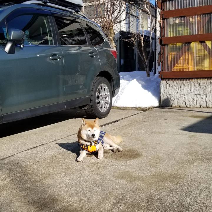 7c31803f 7198 486b b76f 912036e4c332 1612589571065