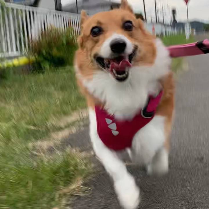 7c318ece 5ce1 40d8 8c02 44cba1e0a262 1664355579581