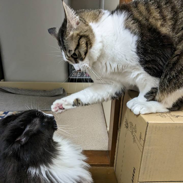 7c31bdb7 8f6d 4846 a71f 18fcd33e8c10 1675255790366