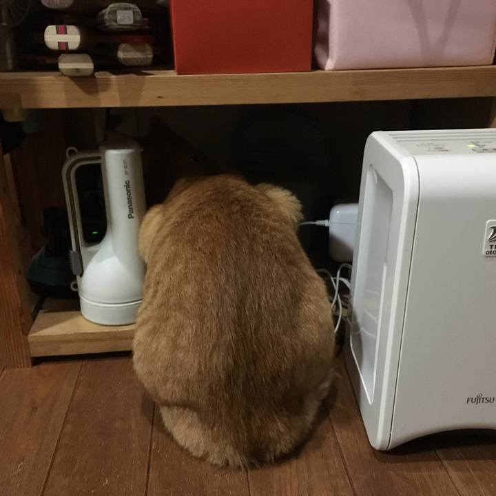 7c31d99a f637 4e09 bed1 8c887ed421ba 1548252358377