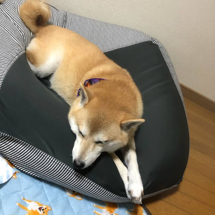 7c32bafd dbef 4cc5 905a f977bce5a114 1572006210838