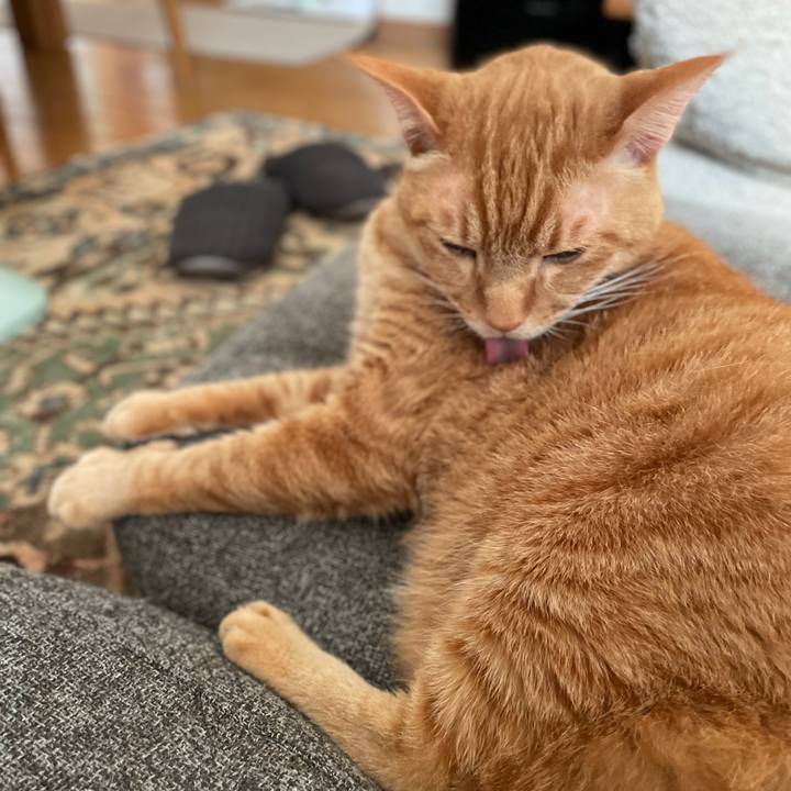 7c32d78d fb5f 4645 a33b df61410580f3 1772847426090