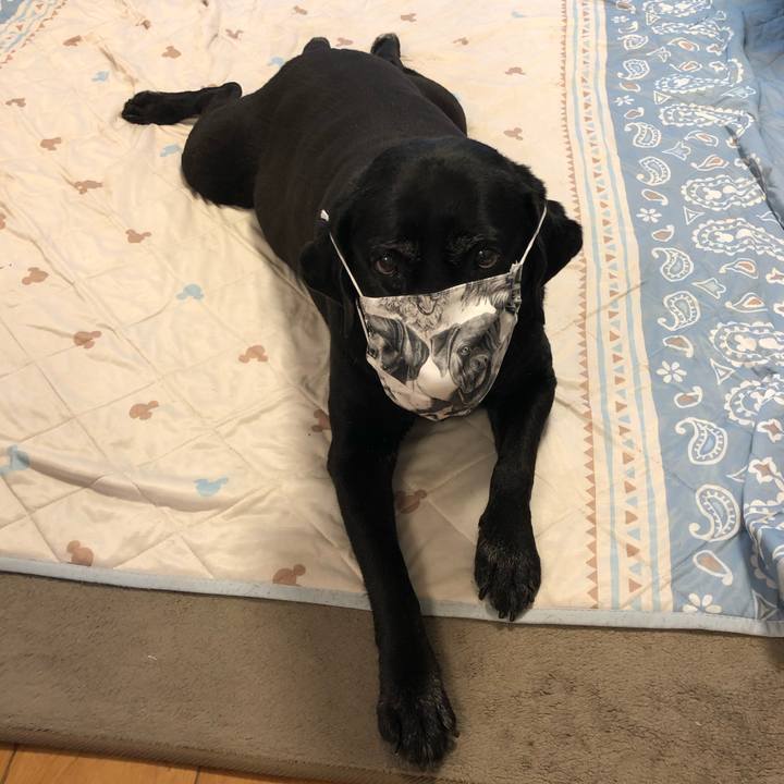 7c32e203 3876 4bae 8d29 965527054b60 1592102546946