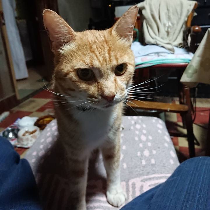 7c32f18f ba0f 434c bbb1 b94decd3744c 1594671601970