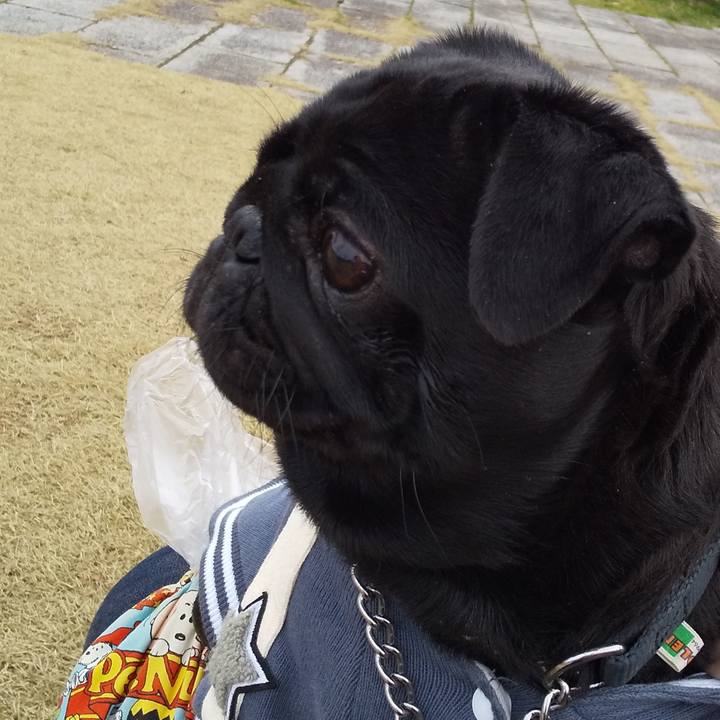 7c330bfb 7627 47fe 9014 00da744e896d 1582097343172