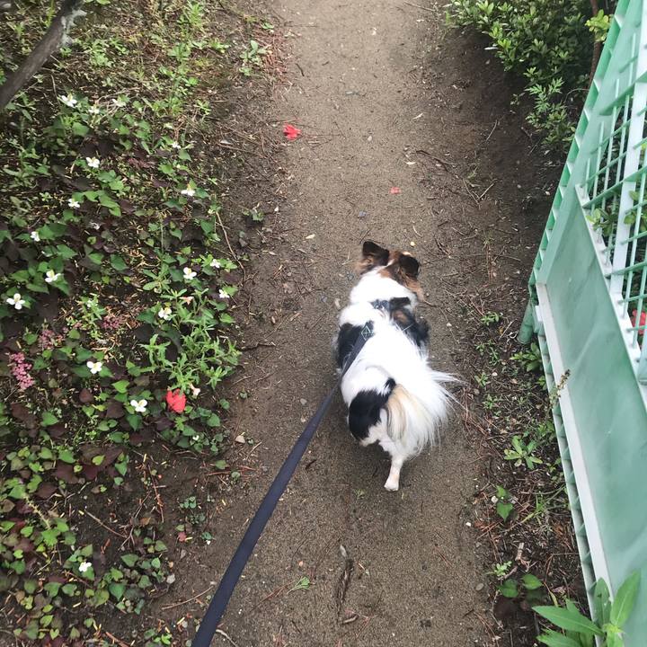 7c3334e0 0193 4550 968a b02b7e6273f5 1621661700582