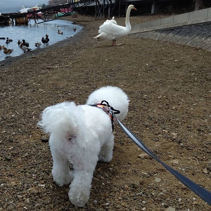 7c33389f ef21 49c6 92ef 089b23642d77 1649674327035