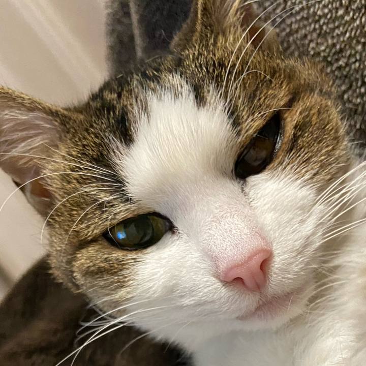 7c334c93 59b1 44de bb50 20e4e477b580 1584619296488