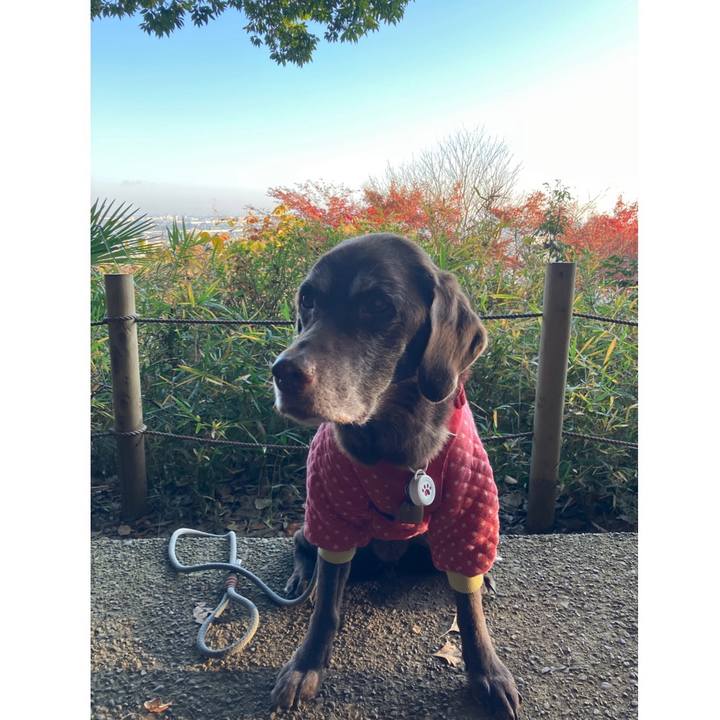 7c33add9 975e 4755 a880 82ccc7c91389 1764335481575