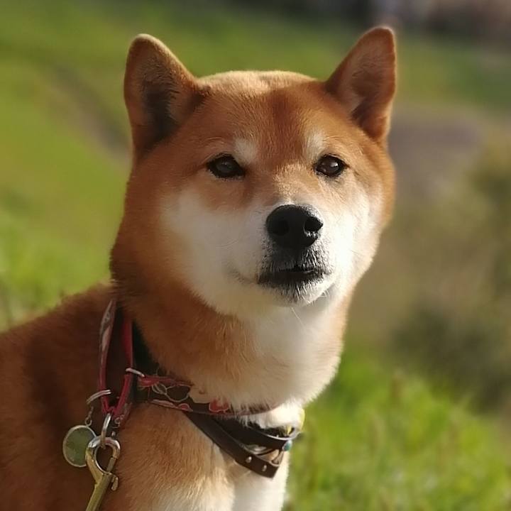 7c33c672 4c38 4882 9032 dd152c5f7327 1585916477646