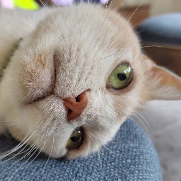 7c33e5b3 6596 4319 993c b9e55dd11b11 1724970462350