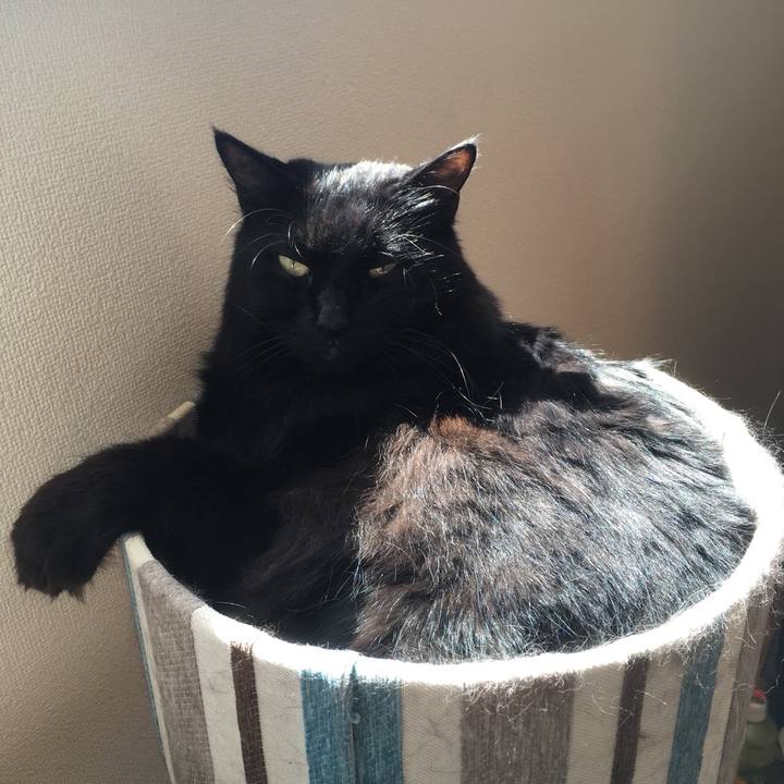 7c342bd3 e4b3 49c6 aa0d 0e0614295252 1534558947624