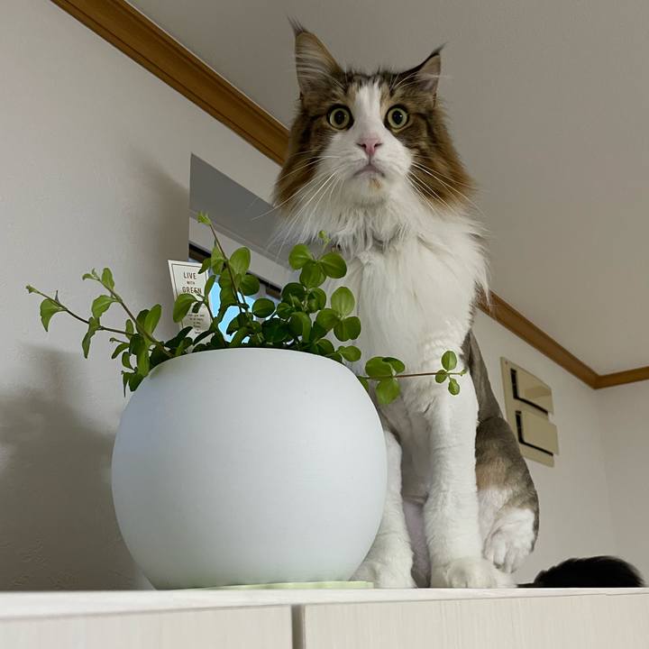 7c342c4d 70b6 453c 93d1 c13d590e8e23 1687462806383