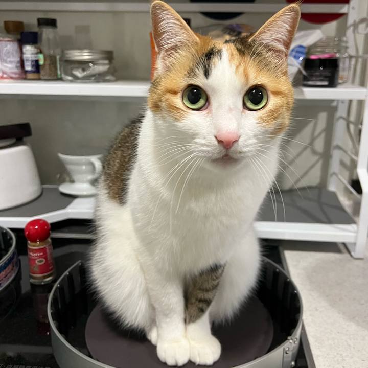 7c34383f b71f 4b37 b4b8 e02303b92f05 1762685148859