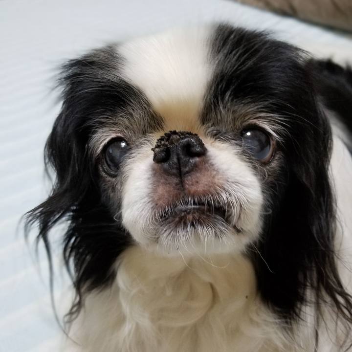 7c346805 c25a 4820 a45c d4fc83bbf84f 1560681512822