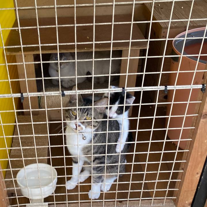 7c347785 926b 427f b8ae 7fea85d8e361 1653619410182