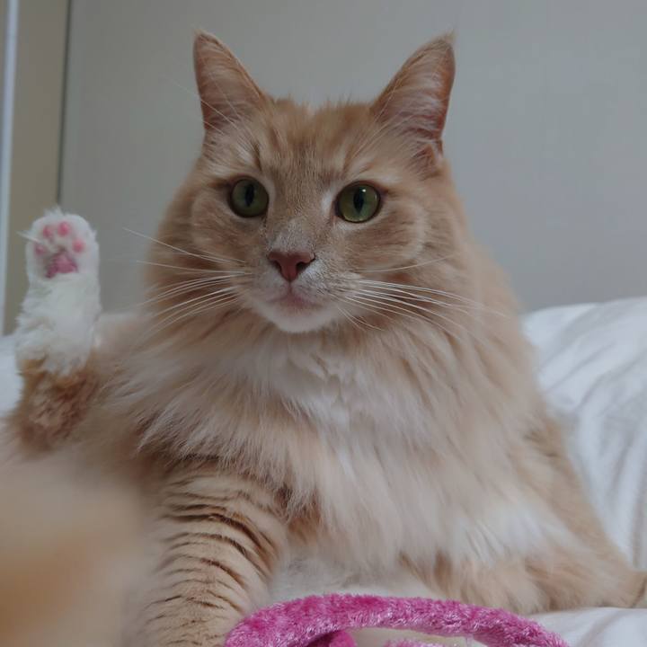 7c34a426 2738 4812 8bf4 d672b085fb7e 1681011564521