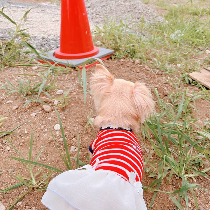 7c34d587 1c3a 4fc0 9795 a43811b37bf5 1656845107251