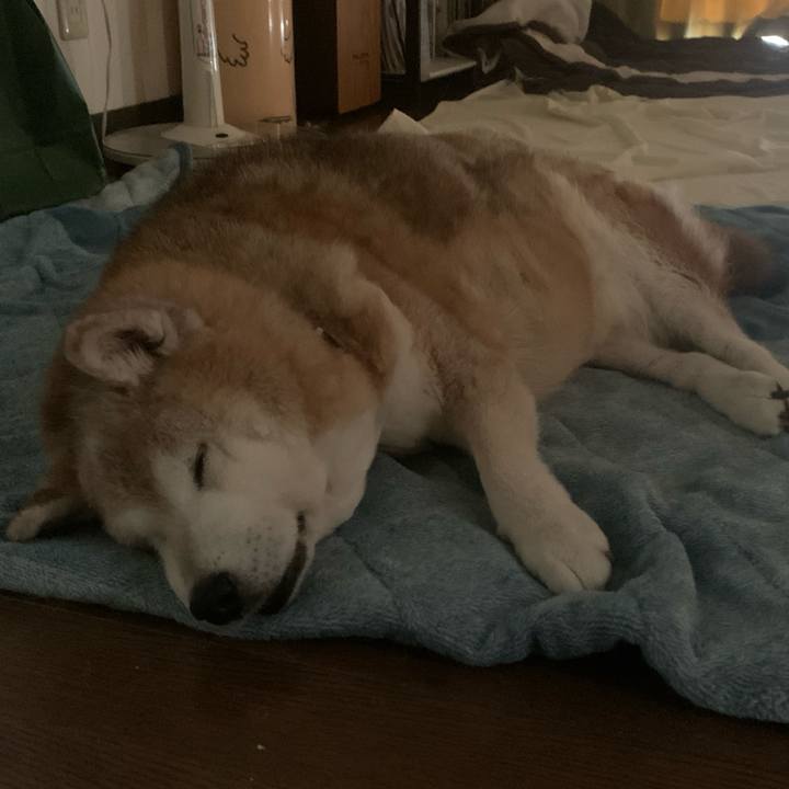 7c34eeb3 c7be 4221 9076 da637c3b5e53 1688875432955