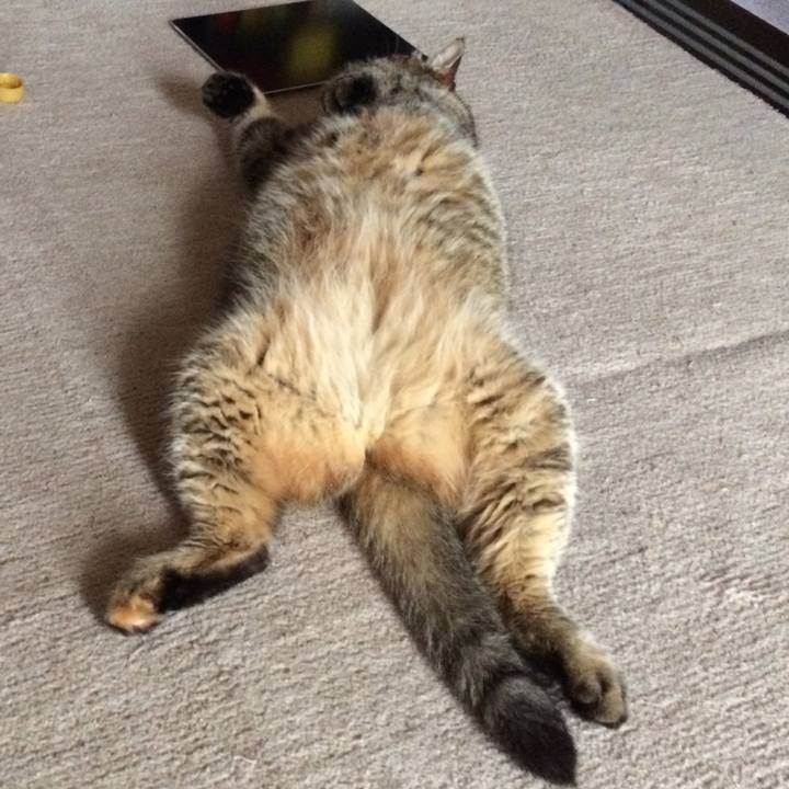 7c352f7a a6f8 413c 8967 f0092e8e2efb 1594074126960