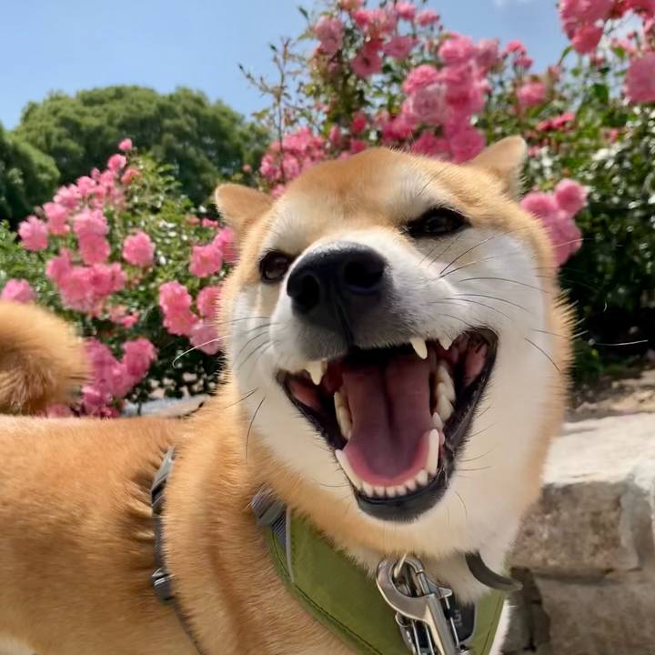 7c3562d0 fb5d 4d7d b9b0 039b4eedf493 1654902538124