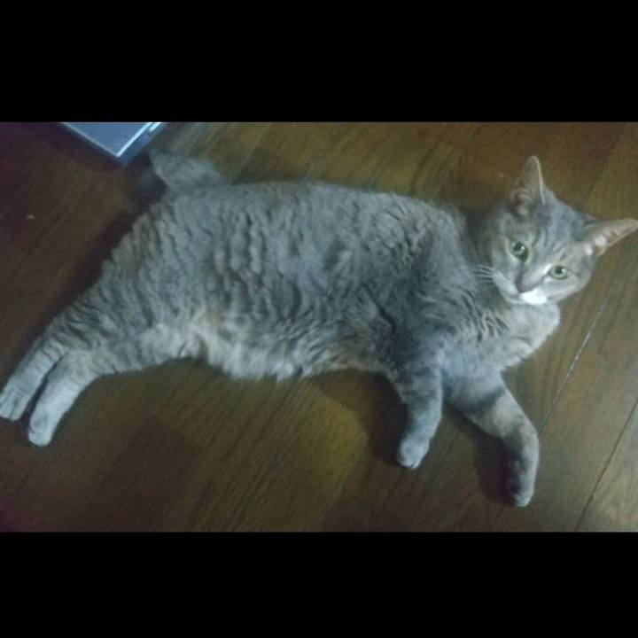 7c357667 fa1a 4f85 84d8 ab5714d7580d 1653818126591