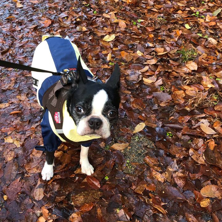 7c357899 28fd 4d63 b1ce aae5a395123c 1671691166848