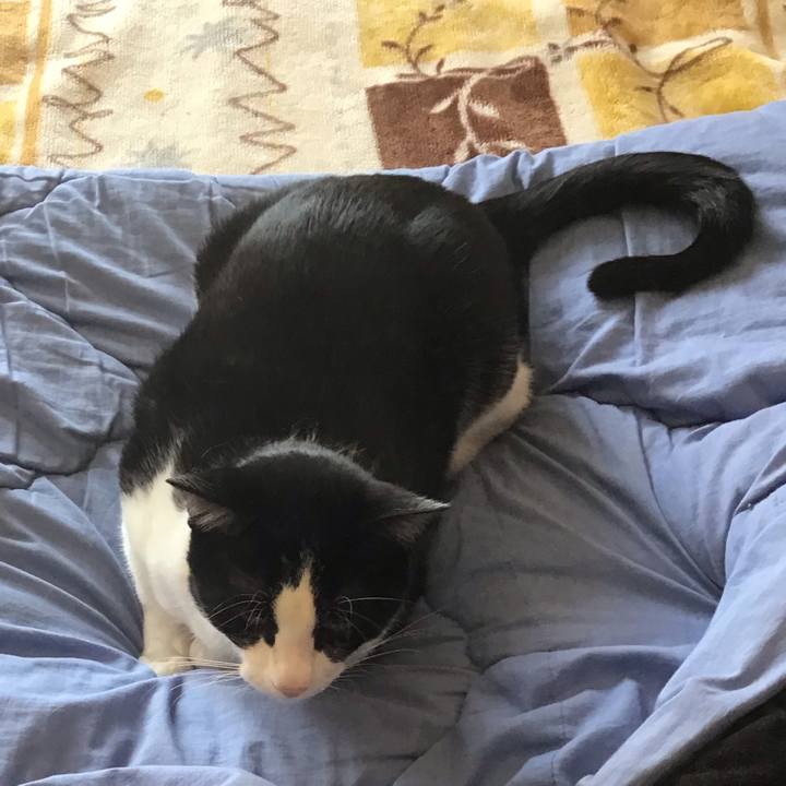 7c358176 c64f 4e0f 9d4d b6df78c3230c 1649216671902