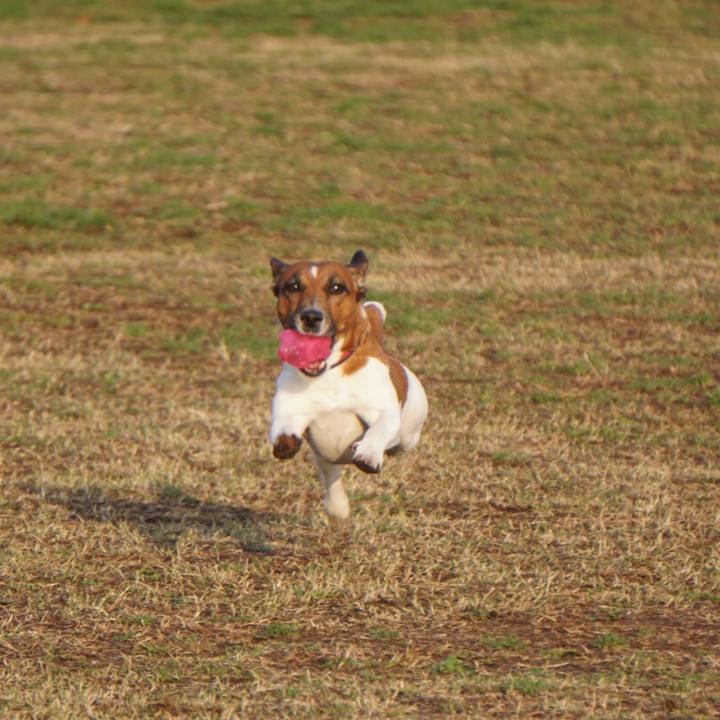 7c358a53 b473 4355 a727 8a49b326be29 1521068101901