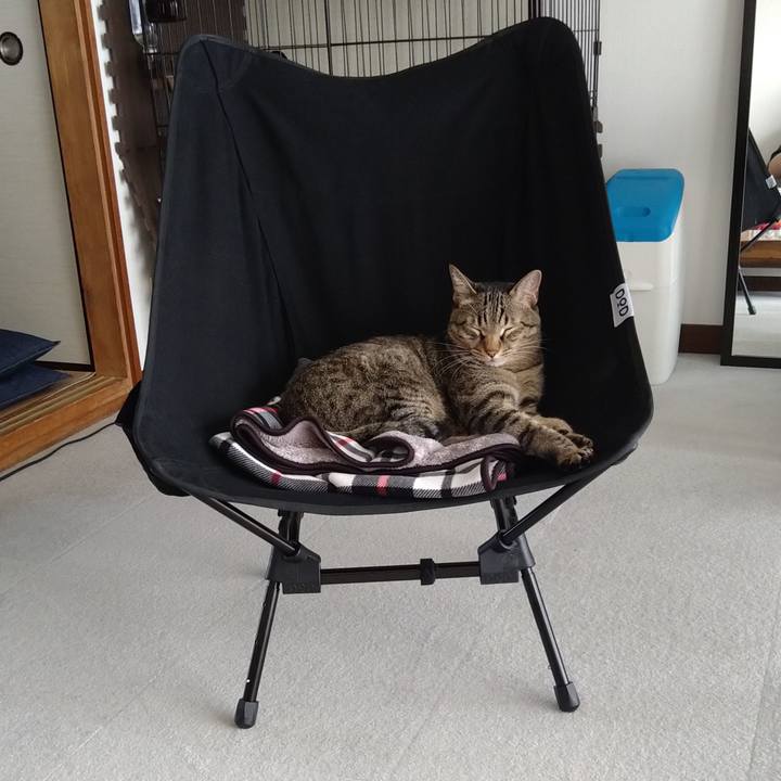 7c35dd5c 8c64 4216 8d42 ccfbc875589a 1633239216062