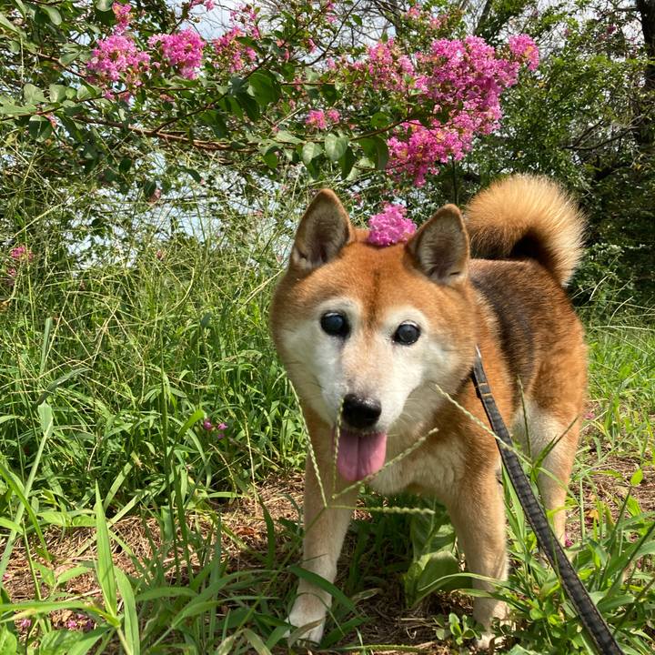 7c35e97f dfde 4fea 863b 19b895550139 1725854214893