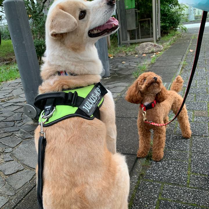 7c361268 d4dd 4996 bf7e 71b7c700a4a2 1594737797250