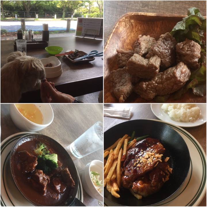 7c3657bc c73a 43de 967a 40f263c85173 1556972777824