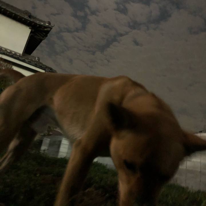 7c3685f3 185b 4a85 a987 b635d9bea87e 1555645166535